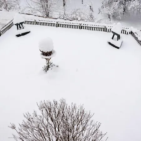 Silva Hopfgarten im Brixental
